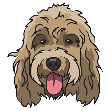 Signmission Cockapoo Dog Decal, Dog Lover Decor Vinyl Sticker D-12-Cockapoo